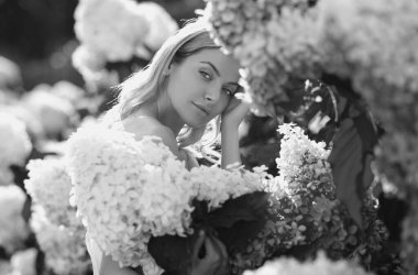 Sensual woman in blooming bush of hydrangea flowers in summer garden. Big white Hydrangeas shrubs flowers. Attractive woman hold bouquet of white hydrangea