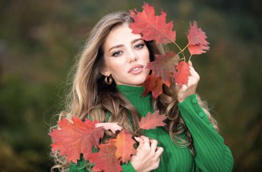 Sonbaharda güzel bir kız. Genç kadın sonbaharda sarı sonbahar yaprakları topluyor. Güzel kadın, sonbahar sarısı yaprağını tutar ve yüzüne düşer. Sonbahar döneminde şehvetli bir kadının portresi.