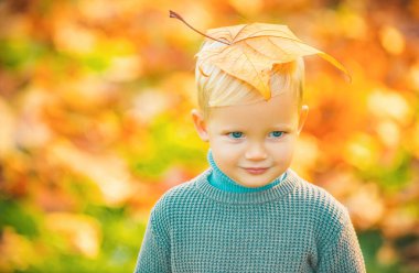 Autumn Leaves 'li sonbahar çocuğu. Sarı Sonbahar Arkaplanı. Güzel bir sonbahar gününde sevimli çocuk portresi.