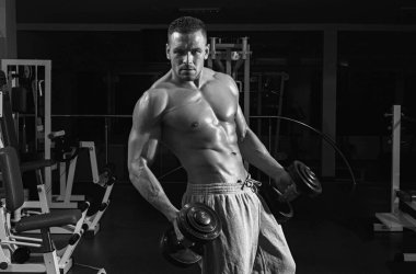 Salon dambılı egzersizleri. Atletik erkekler dambıllarla egzersiz yapar. Sportif yaşam tarzı. Çekici sporlar