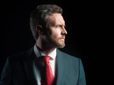 Takım elbiseli, kendinden emin bir iş adamının portresi. İnsanlar, iş, moda ve giysi konsepti, takım elbiseli ve kravatlı adama yakın çekim