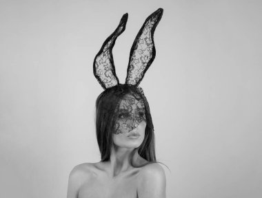 Seksi kızlar paskalya tüylü tavşan kulakları takarlar, izole stüdyo geçmişleri vardır. Şehvetli dişi tavşanın portresi. Seksi model.