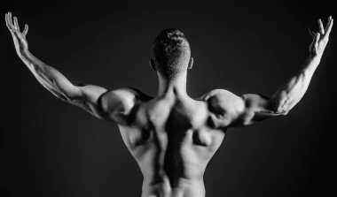 Kaslı adam seksi vücudu. Kaslı seksi adam. Çıplak vücut, güçlü adam. İnsan Gücü. Mükemmel Omuzlar ve Sırt Kasları. Kaslı adam gücü gösteriyor, arka görüş. Seksi bir vücut. Güçlü Güç Omuzları