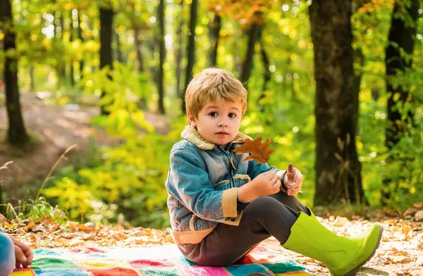 stock image Child love. Hello Autumn bye Summer. Cute boy with Autumn Leaves on Fall Nature Background. Childhood concept