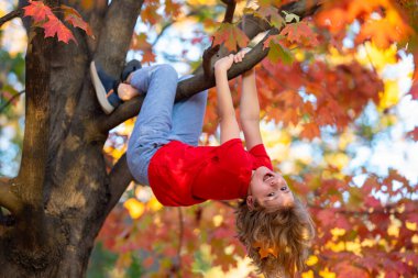 Bahçedeki sonbahar ağacına tırmanan komik çocuk. Sonbahar parkında oynayan aktif bir çocuk. Güneşli sonbaharda sarı sonbahar yapraklarıyla dallara baş aşağı tırmanan sevimli çocuk portresi.