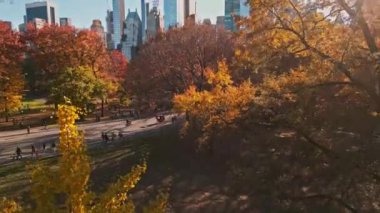 Central Park 'ın sonbaharında, şehir merkezindeki gökdelenler insansız hava aracı manzaralı. Sonbaharda New York City Manhattan Central Park Havalimanı panoraması. Central Park 'ta sonbahar. Sonbahar New York. Central Park Sonbahar Yeşilliği
