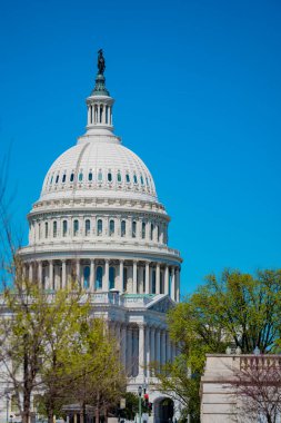Washington 'daki Birleşik Devletler Kongre Binası ikonu. Meclis binası. Senato ve Temsilciler Hükümeti Washington 'daki evlerinde.