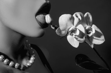 Orkide ve kadın dudakları. Şehvetli kadın ağzında orkide çiçeği. Seksi baştan çıkarıcı jest.