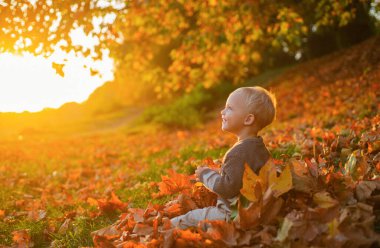 Güzel küçük çocuk sonbahar manzarasında rahatla. Sonbahar parkında eğlenceli yürüyüşler. Yaşam tarzı yakalama. Kır manzarası. Mutlu erkek bebek sonbaharda düşen yapraklarla eğleniyor.