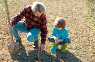 Baba bir ağaç dikiyor ve oğlu ona yardım ediyor. Baba ve çocuk bahçede bahçıvanlık yapıyor. Büyüyen bitki