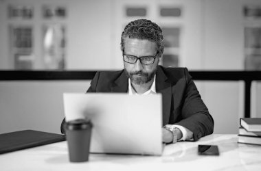 40 'ların yakışıklı iş adamı ofiste dizüstü bilgisayarla çalışıyor. Gri saçlı, olgun iş adamı yönetmeni dizüstü bilgisayar kullanıyor. Ofis işyerinde milenyum müdürü. CEO ofis çalışanları. Ofisteki iş adamları.