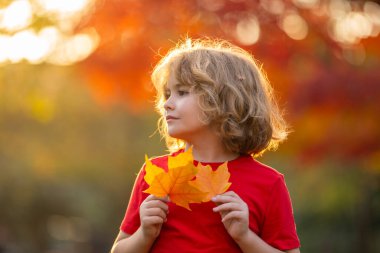 Sonbahar Çocuk Portresi ve Sonbahar Sarı Yaprakları. Autumn Park 'ın dışındaki güzel çocuk. Parkın dışındaki yaprakları tutan sevimli çocuk yüzünü kapat. Çocukluk, sonbahar ve eğlence. Sonbahar yeşilliği