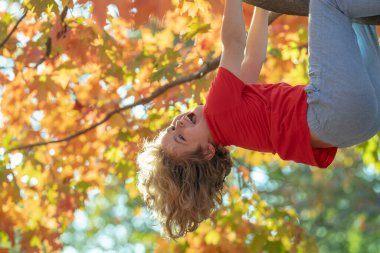 Parktaki Sonbahar Çocuk Macerası. Çocuk ağaçta parkta oynuyor. Sonbahar Harikaları. Parktaki çocukluk sevinci. Park 'ta Sonbahar ağacının tadını çıkaran çocuk. Sonbahar Yaprağı