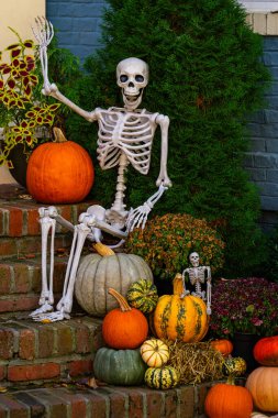 Evde Cadılar Bayramı. Cadılar Bayramı balkabağı ve dekore edilmiş ev için iskelet. Bir Amerikan evinin ön bahçesinde dekore edilmiş korkunç bir şey. Şeker mi şaka mı? Cadılar Bayramı geçmişi. Cadılar Bayramı 'nın sonbahar tatili