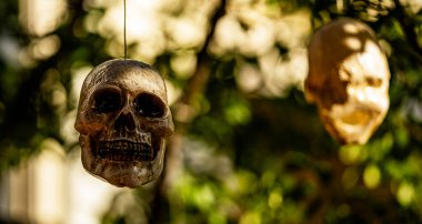 Cadılar Bayramı süslemeleri. Cadılar Bayramı balkabağı ve dekore edilmiş ev için iskelet. Bir Amerikan evinin ön bahçesinde dekore edilmiş korkunç bir şey. Şeker mi şaka mı? Cadılar Bayramı geçmişi. Cadılar Bayramı 'nın sonbahar tatili