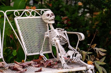 Cadılar Bayramı süslemeleri. Cadılar Bayramı balkabağı ve dekore edilmiş ev için iskelet. Bir Amerikan evinin ön bahçesinde dekore edilmiş korkunç bir şey. Şeker mi şaka mı? Cadılar Bayramı geçmişi. Cadılar Bayramı 'nın sonbahar tatili