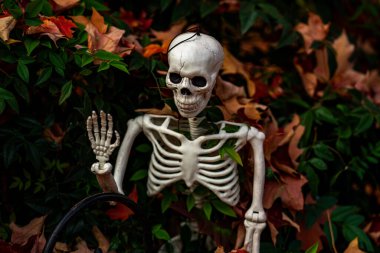 Cadılar Bayramı süslemeleri. Cadılar Bayramı balkabağı ve dekore edilmiş ev için iskelet. Bir Amerikan evinin ön bahçesinde dekore edilmiş korkunç bir şey. Şeker mi şaka mı? Cadılar Bayramı geçmişi. Cadılar Bayramı 'nın sonbahar tatili