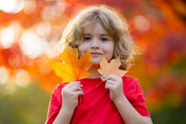 Güzel çocuk sonbahar sarı yapraklarıyla oynar. Sonbaharda parkta yapraklarla oynayan sevimli bir çocuğun portresi. Merhaba Autumn. Çocuklar sonbahar parkında eğleniyor. Çocuklar Sonbahar Yüzü