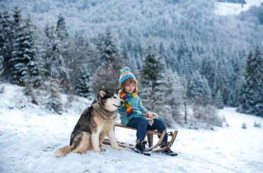 Çocuk kışın kızakla kayıyor. Çocuk kışın köpek köpeğiyle kayıyor.
