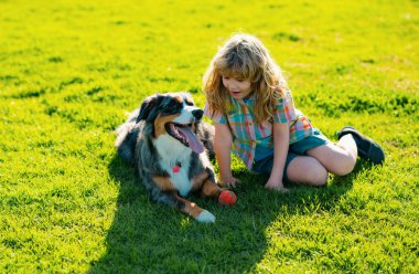 Yavru köpeği olan bir çocuk. Oğlan yazın parkta köpekle oynar.