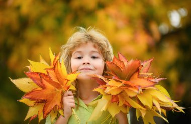 Autumn Baby Portrait on Fall Yellow Leaves Background, Child Kid in Park Outdoor, October September Season