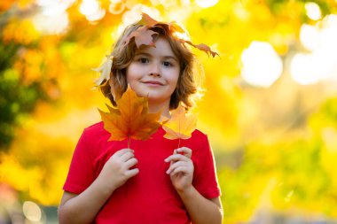 Güneşli bir sonbahar gününde güzel bir sonbahar parkında oynayan mutlu küçük çocuk. Çocuklar altın akçaağaç yapraklarıyla oynarlar. Sonbahar parkında mutlu bir çocuk. Komik çocuklar sonbaharda açık havada karşılaşır. Sonbahar yapraklı çocuk