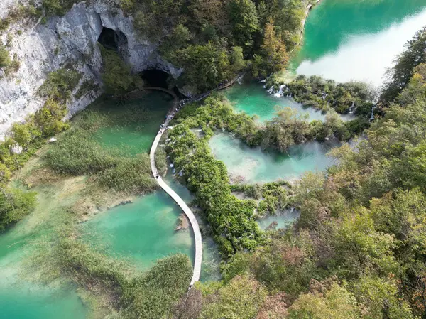 Güzellik doğası. Hırvatistan 'daki Plitvice Göllerinde Şelale. Ormandaki şelaleler. Yaz manzaralı güzel şelaleler ve berrak göl. Plitvice Lakes Ulusal Parkı, Hırvatistan. Yaz doğa manzarası