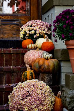 Cadılar Bayramı geçmişi. Cadılar Bayramı 'nın balkabağı sembolü. Şükran Günü tatili Korkunç Jack Feneri Cadılar Bayramı balkabakları. Komik balkabağı. Balkabağı tasarım ner evi