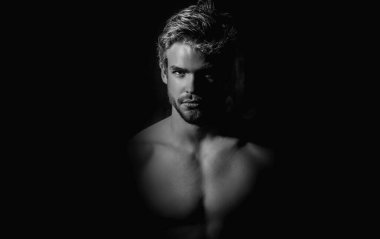 Erkek yüzü. Seksi adam, stüdyo resmi. Gölgede çekici erkek yüzü. Karanlık stüdyodaki adam. Erkeksi yüzlü yakışıklı genç adamın portresi. Erkek güzeli. Siyah gölgeli adam kameraya bakıyor.
