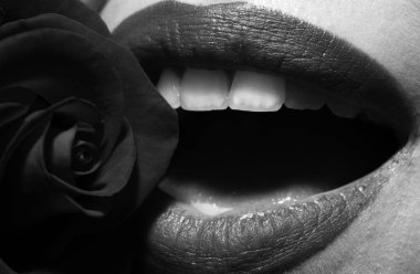 Kırmızı Matt rujlu güzel kadın dudakları. Ağzını beyaz dişlerle aç. Tutkulu bir ağız. Güllü güzel kadın dudakları