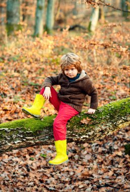 Sonbahar doğasının tadını çıkaran bir çocuk. Sarı akçaağaç yapraklarında komik suratlı çocukların portresi.