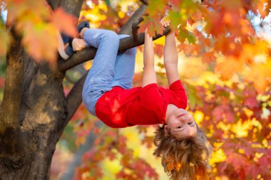 Bahçedeki sonbahar ağacına tırmanan komik çocuk. Sonbahar parkında oynayan aktif bir çocuk. Güneşli sonbaharda sarı sonbahar yapraklarıyla dallara baş aşağı tırmanan sevimli çocuk portresi.