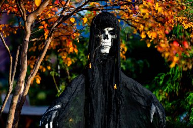 Mutlu Cadılar Bayramı. Cadılar Bayramı balkabağı ve dekore edilmiş ev için iskelet. Evin ön bahçesindeki korkunç dekorasyonlar. Şeker mi şaka mı? Cadılar Bayramı geçmişi. Cadılar Bayramı ve Şükran Günü