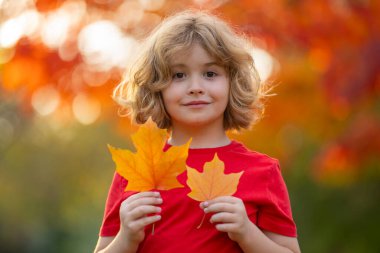 Güzel çocuk sonbahar sarı yapraklarıyla oynar. Sonbaharda parkta yapraklarla oynayan sevimli bir çocuğun portresi. Merhaba Autumn. Çocuklar sonbahar parkında eğleniyor. Çocuklar Sonbahar Yüzü