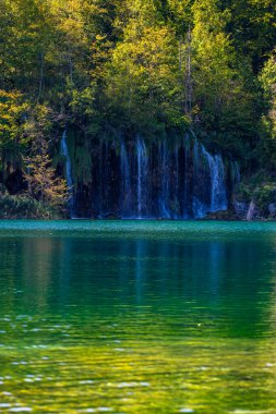 Ormandaki şelaleler. Yaz manzaralı güzel şelaleler ve berrak göl. Plitvice Lakes Ulusal Parkı, Hırvatistan. Yaz doğa manzarası