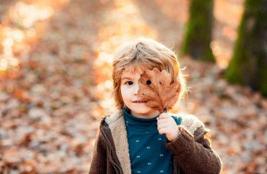 Çocuk gözlerini sarı bir akçaağaç yaprağıyla kapatıyor. Küçük çocuk parkta sonbahar yapraklarıyla oynuyor.