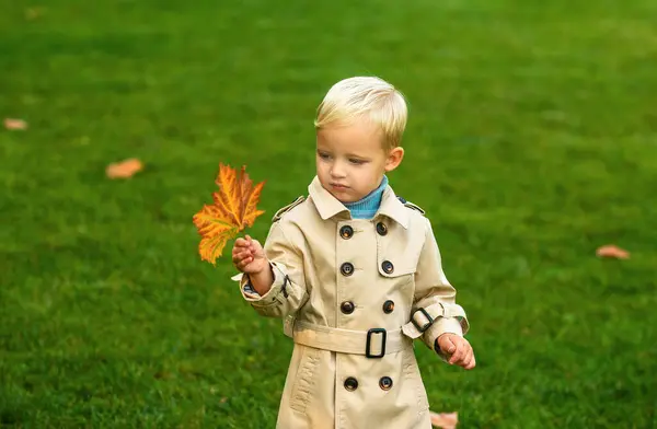 stock image Autumn child have fun and playing with fallen golden leaves, autumn leaf