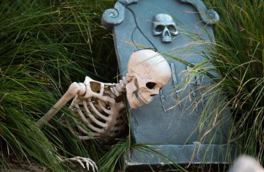 Cadılar Bayramı mezarlığı arka planı. Mezarlıkta Mutlu Cadılar Bayramı İskeleti