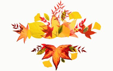 Autumn fall frames borders. Fall leaf banner. Thanksgiving background, fall design, texture for flyer or poster