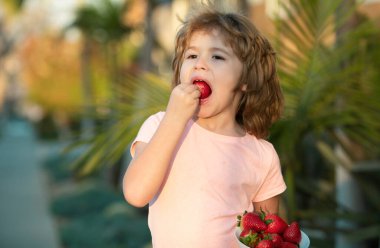 Mutlu çocuk çilek yer. Çilek tutan şirin bir çocuk.