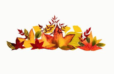 Frame for sale. Thanksgiving background, fall design, texture for flyer or poster