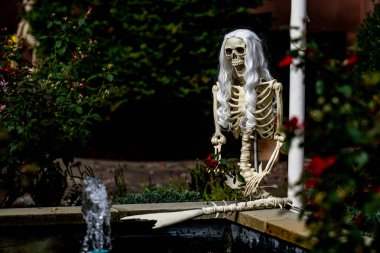 Cadılar Bayramı süslemeleri. Cadılar Bayramı balkabağı ve dekore edilmiş ev için iskelet. Bir Amerikan evinin ön bahçesinde dekore edilmiş korkunç bir şey. Şeker mi şaka mı? Cadılar Bayramı geçmişi. Cadılar Bayramı 'nın sonbahar tatili