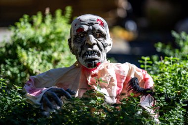 Mutlu Cadılar Bayramı. Cadılar Bayramı balkabağı ve dekore edilmiş ev için iskelet. Evin ön bahçesindeki korkunç dekorasyonlar. Şeker mi şaka mı? Cadılar Bayramı geçmişi. Cadılar Bayramı ve Şükran Günü