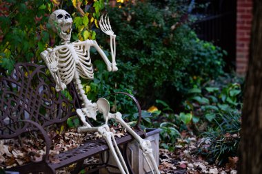 Cadılar Bayramı dekoru. Cadılar Bayramı balkabağı ve dekore edilmiş ev için iskelet. Bir Amerikan evinin ön bahçesinde dekore edilmiş korkunç bir şey. Şeker mi şaka mı? Cadılar Bayramı geçmişi. Cadılar Bayramı 'nın sonbahar tatili