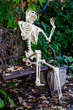 Cadılar Bayramı iskeleti. Cadılar Bayramı balkabağı ve dekore edilmiş ev için iskelet. Bir Amerikan evinin ön bahçesinde dekore edilmiş korkunç bir şey. Şeker mi şaka mı? Cadılar Bayramı geçmişi. Cadılar Bayramı 'nın sonbahar tatili