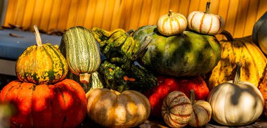 Cadılar Bayramı balkabağı süslemeleri. Süslü ev için balkabağı. Cadılar Bayramı, bir Amerikan evinin ön bahçesinde süslenmişti. Cadılar Bayramı 'nın ön kapısı balkabağıyla süslenmiş. Cadılar Bayramı 'nın sonbahar tatili