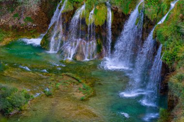 Ormandaki şelaleler göllere akıyor. Turistler Hırvatistan 'daki ünlü Plitvice parkını ziyaret ettiler. Dağ dereleri temiz suyla doludur. Bir yaz gününde Plitvice Göllerinin Şelaleleri