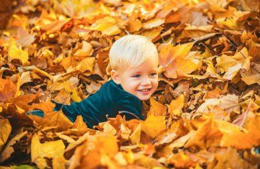 Sonbahar çocuğu eğlen ve yere düşmüş altın yaprakların üzerine uzan.