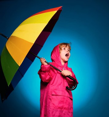 Autumn 'a hazırlanan yakışıklı küçük adam. Renkli şemsiyeli, yağmurluk giyen neşeli çocuk. Çocuk yağmurda. Bulut yağmuru şemsiyesi. Yağmur konsepti. Çocuk ürününüzün ve hizmetlerinizin reklamını yapıyor. Komik surat.