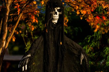 Cadılar Bayramı. Cadılar Bayramı balkabağı ve dekore edilmiş ev için iskelet. Bir Amerikan evinin ön bahçesinde dekore edilmiş korkunç bir şey. Şeker mi şaka mı? Cadılar Bayramı geçmişi. Cadılar Bayramı 'nın sonbahar tatili